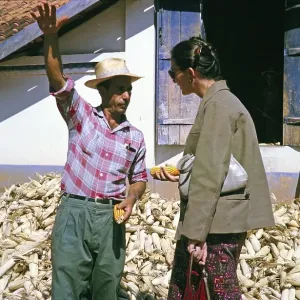 Print of Farmer Explaining Sweetcorn Growth, Fazenda Sant Anna, 1962