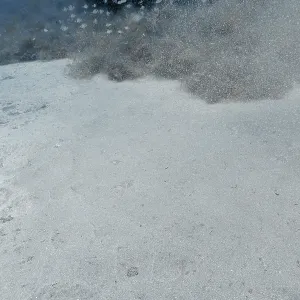 Butterfly Ray in Misty Waters Print, Gran Canaria