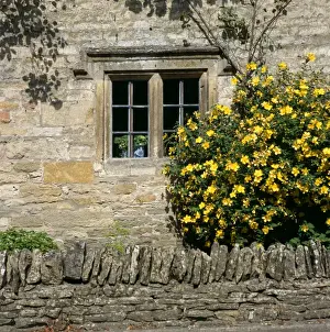 La fenêtre du cottage K991559