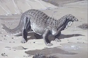 Armoured Dinosaurs Impressions: Acanthopholis