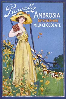 Early 20th Century Food Ads Impressions: Advert / Devonshire Choc