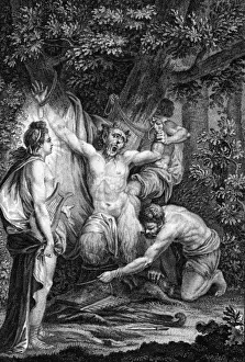 Apollo Mythology Impressions: APOLLO