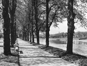 Worcestershire Landscape Photography Impressions: Avenue of Trees