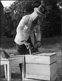 Apiculture Practices Impressions: BEE KEEPER