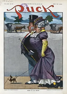 Puck Magazine Cartoons Online Impressions: Beef a la mode