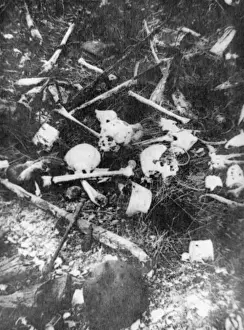 World War 1 Battlefield Impressions: Bones 1916