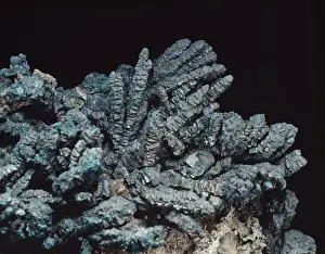Bornite Mineral Impressions: Bornite