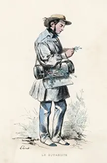 Antique Botanical Prints Impressions: Botanist at Work / 1850