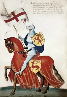 Italian Renaissance History Impressions: Capodilista Codex