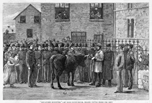 Charles Stewart Parnell Image Impressions: Cattle Seized