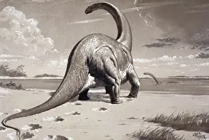 Prehistoric England Impressions: Cetiosaurus