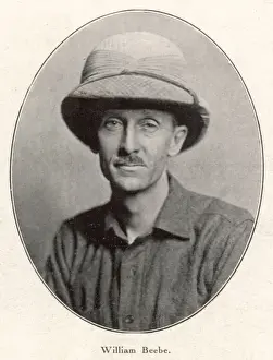 Charles Williams Impressions: Charles Beebe