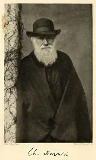 Impressions de Charles Darwin, naturaliste Charles Darwin Impressions: Charles Darwin Colonne