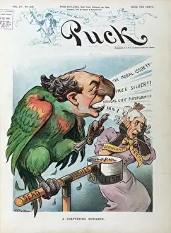 William Jennings Bryan Cartoon Impressions: A chattering nuisance