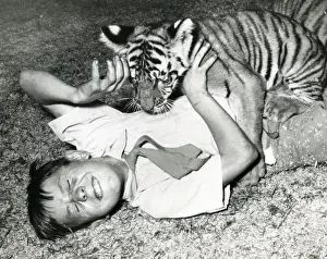 Le Cirque Chipperfield - Tigre - Kumar