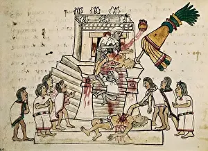 Aztec Human Sacrifice Impressions: Codex Magliabecchi