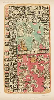 Le Codex de Tréono - 1