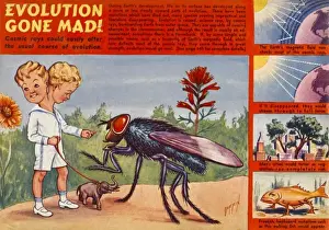 Evolutionary Science History Impressions: Cosmic Mutation