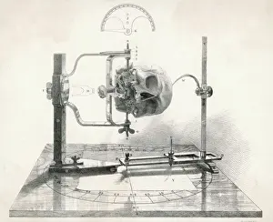 Crânométrieur/Mid 19ème siècle