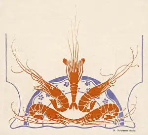Freshwater Crustaceans Impressions: Crayfish Display