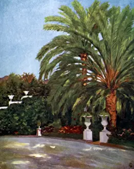 Date : 1904