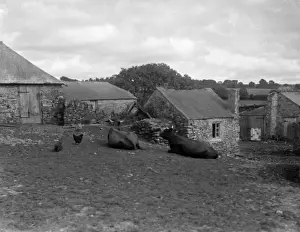 Farming In Britain Impressions: Devon Farmyard