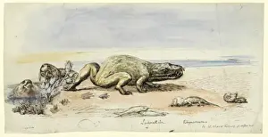 Crystal Palace Dinosaurs Impressions: Dicynodon, Labyrinthodon, Rhynchosaurus