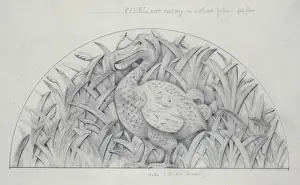 Le dinosaure aveugle a une mauvaise connaissance de lingénierie du Dodo