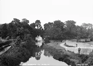 Early 1900s Photography Ireland Impressions: On the Dodder, Co. Dublin