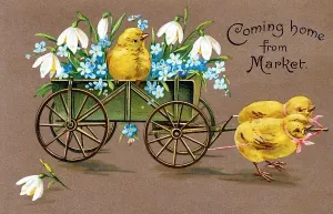 Easter Holiday Traditions Impressions: Customs / Easter / Chicks
