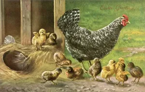 Easter Postcard Impressions: Proverbs / Counting Chicks