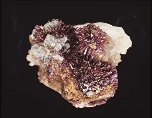 Natural History Museum Specimens Impressions: Erythrite