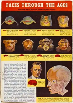 Historical Science Illustrations Impressions: Evolution of Face