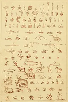 Évolution dans les fossiles