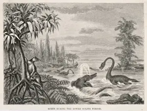 Extinct Sea Creatures Impressions: Extinct Plesiosaur