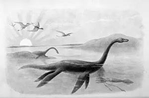 Dinosaur Fossil Discovery Impressions: Extinct / Plesiosaurus
