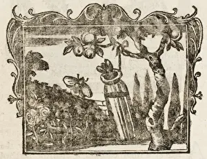Historical Garden Scene Impressions: Fable / the Two Bees
