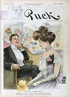 Puck Magazine Cartoons Online Impressions: For the favored few