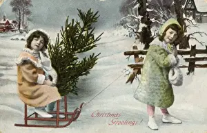 Winter Scene Impressions: Fetching Tree on Sledge
