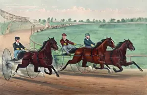 Vintage Horse Racing Art Impressions: Well together at the first turn