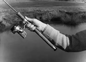 Marine Life Impressions: Fishing Casts