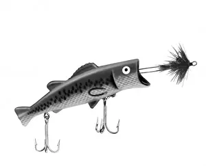 L'hameçon à la mouche.