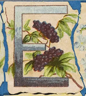 Antique Flower Art Impressions: FLOWER E