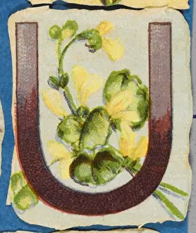 Vintage Floral Art Impressions: FLOWER U