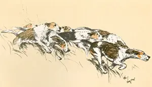 Vintage Fox Hunting Prints Impressions: Foxhounds with their hackles up