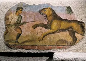 Historical Roman Artwork Impressions: Gladiator fighting against a beast