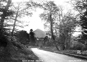 Early 20th Century Irish Art Impressions: Glen of the Downs