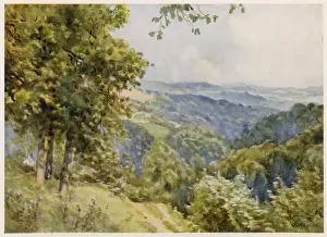 Gloucestershire Impressions: Forêt de la Forêt du Désert, Glos - 1927