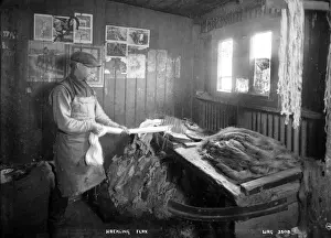Early 20th Century Ireland Impressions: Hackling Flax