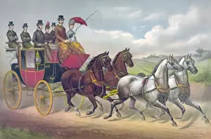 Horse Drawn Carriages History Impressions: Four in hand